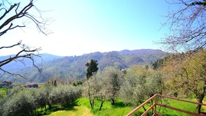 A scenic view of a mountainous landscape with olive groves and a wooden staircase leading up. - Holiday House in Lucca with Pool & Valley Views (Borgo A Mozzano)