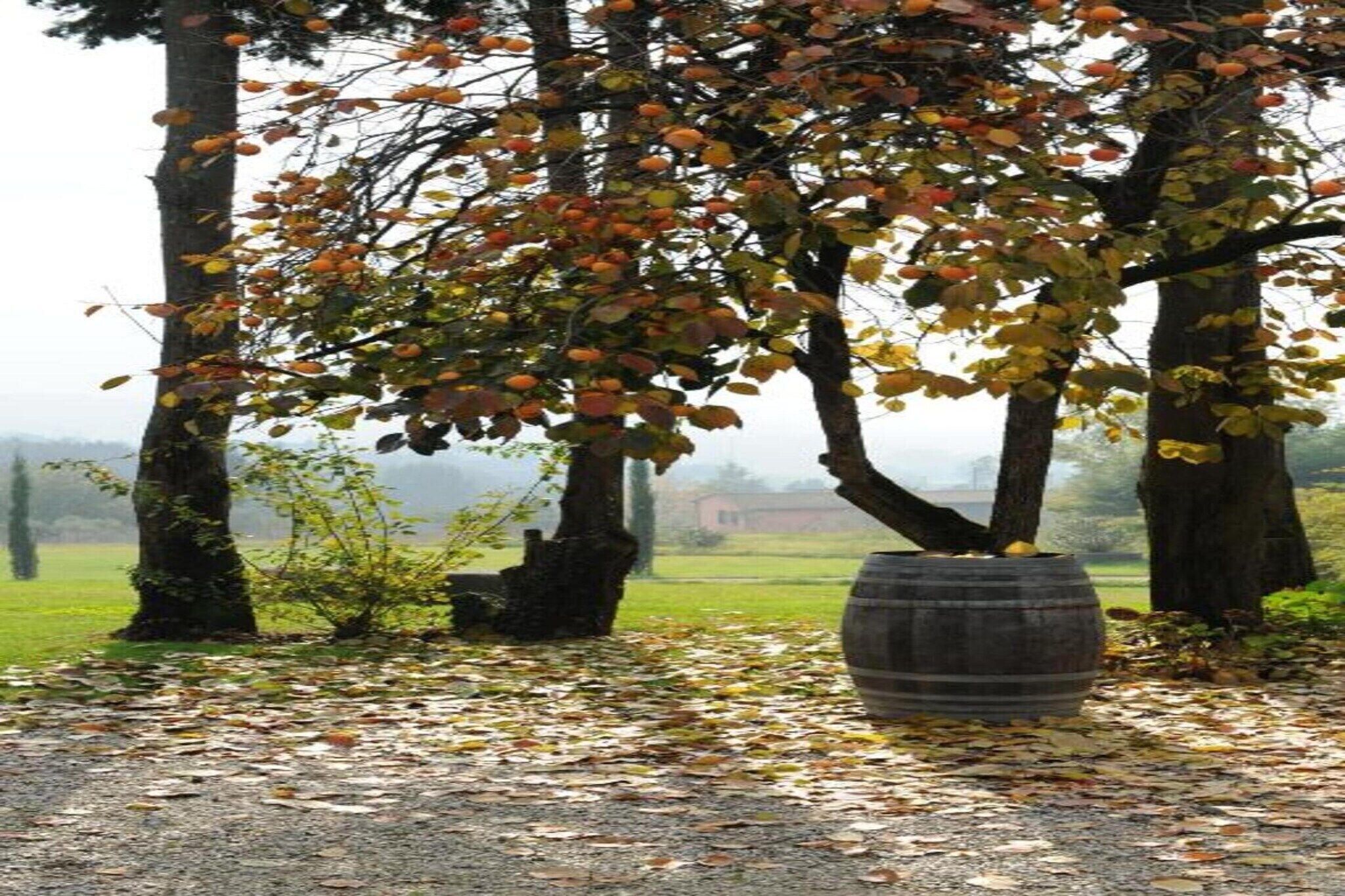Een rustieke buitenomgeving met een grote houten vat, bomen met herfstbladeren en een grindpad.