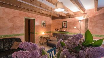 TV, lettore DVD, impianto stereo