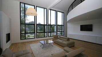 TV connectée, cheminée, lecteur de DVD, chaßne hi-fi