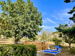 Parco della struttura