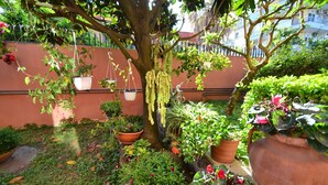 Een weelderige tuin met diverse potplanten en hangplanten, een boom, en een rode muur op de achtergrond.