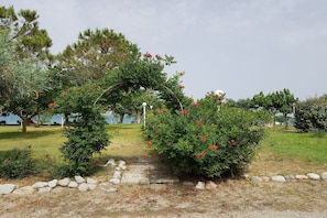 Garden [summer] - Villa in Santa Caterina with Private Beach (Santa Caterina dello Ionio)
