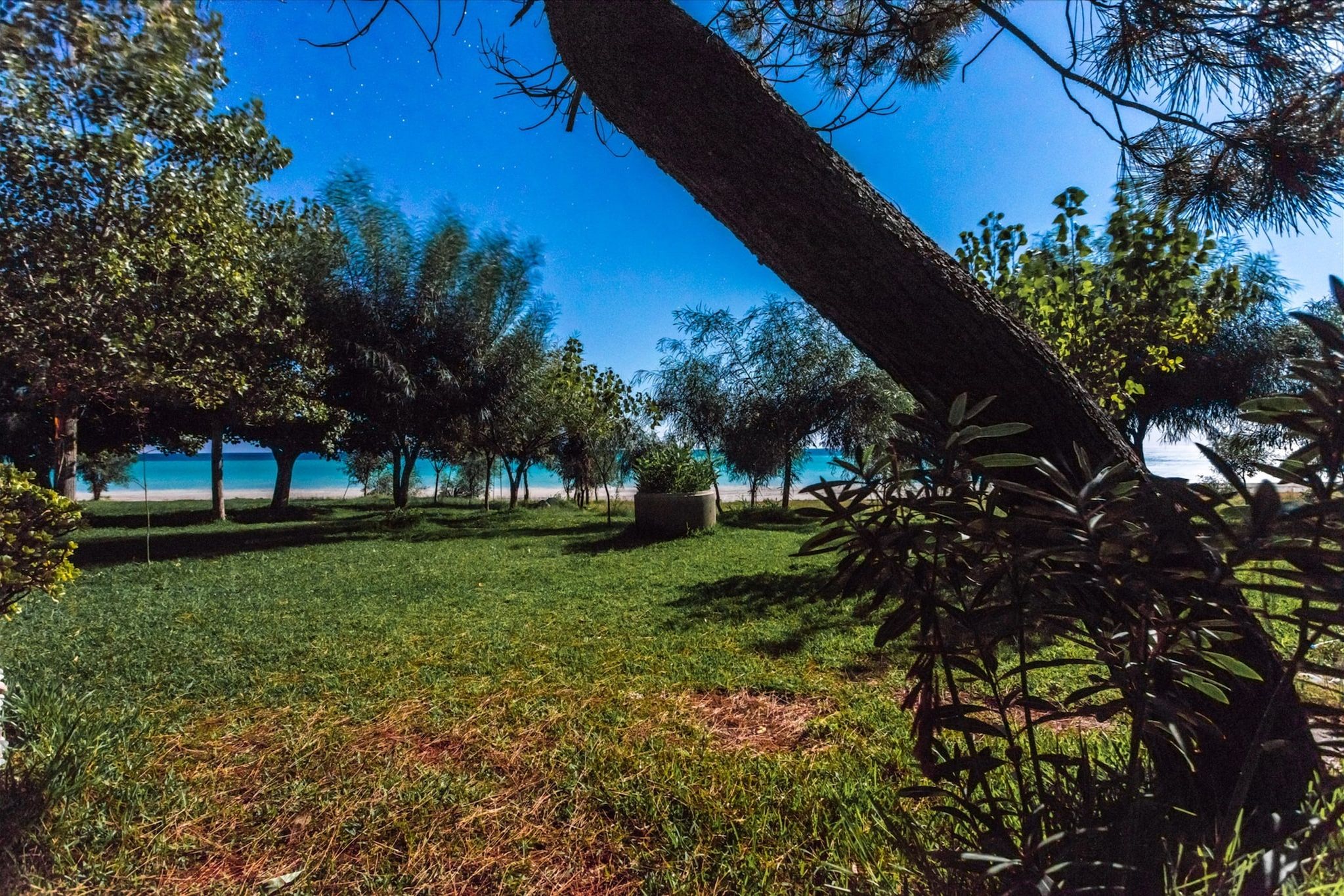 Jardin [été]