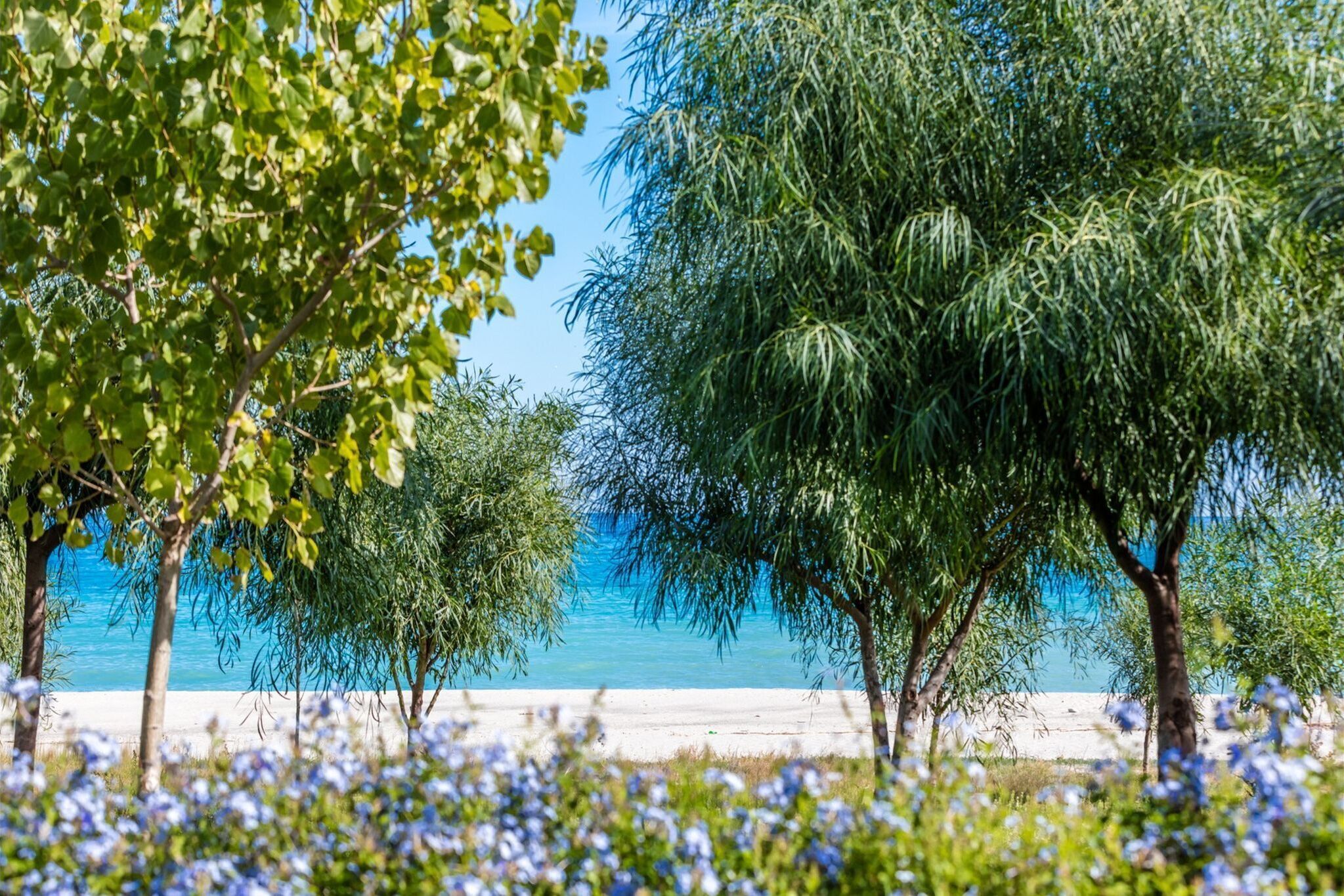 Vue de la maison de vacances [été]