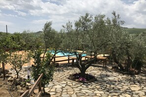 Pool - Villa in Alia with Pool & Olive Views (Alia)