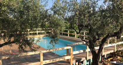Villa in Alia mit Pool und Blick auf Olivenhaine