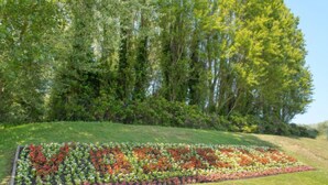 A landscaped garden with a variety of colorful flowers and a grassy area.