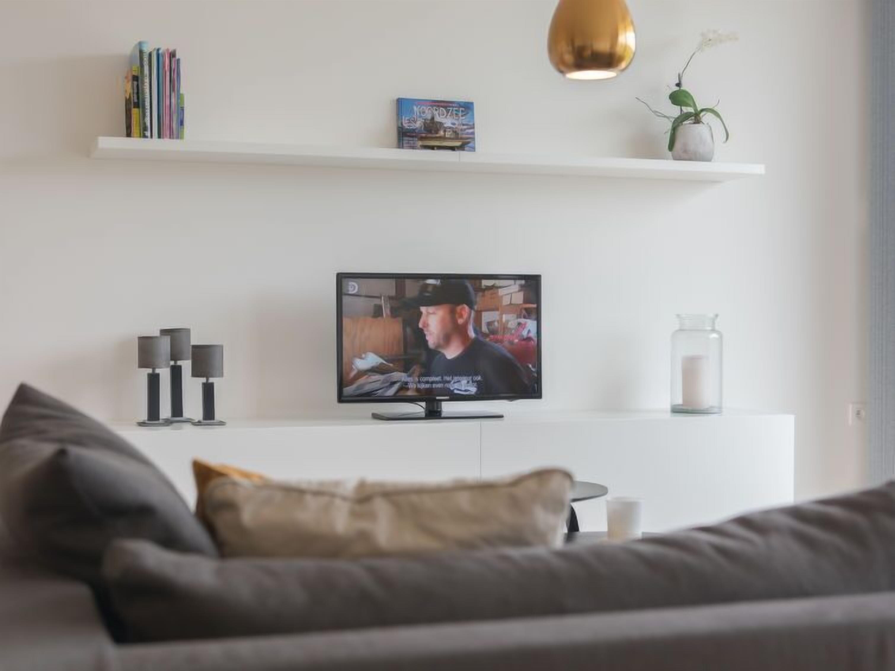 En moderne stue med et fladskærms-tv på et hvidt skab, en reol med bøger, en lille plante og en dekorativ lampe.