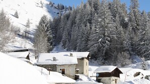 A snow-covered village with traditional buildings, a clear sky, and a forested mountain backdrop. - Luxury flat with sauna in the French Alps (Champagny en Vanoise)