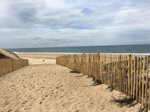 Nära stranden