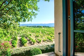 A vineyard view from a balcony with a door handle visible.