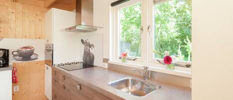 Réfrigérateur, micro-ondes, plaque de cuisson, lave-vaisselle