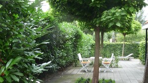 A garden patio with a white table and chairs, surrounded by lush greenery and a tree.