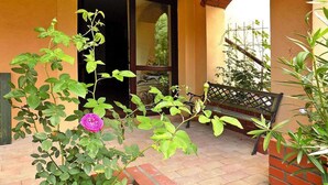 Ein Balkon mit einer Bank, einem Blumentopf und einer Tür zu einem Innenraum.