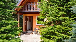 Eine Holzhütte mit Balkon, umgeben von immergrünen Bäumen.