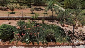 Ein angelegter Garten mit verschiedenen Sträuchern und Bäumen, einer Steinmauer und einem gepflasterten Weg.