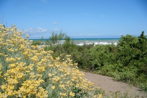 Beach nearby