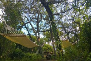 Property grounds - Charm in Castagneto Carducci (Castagneto Carducci)