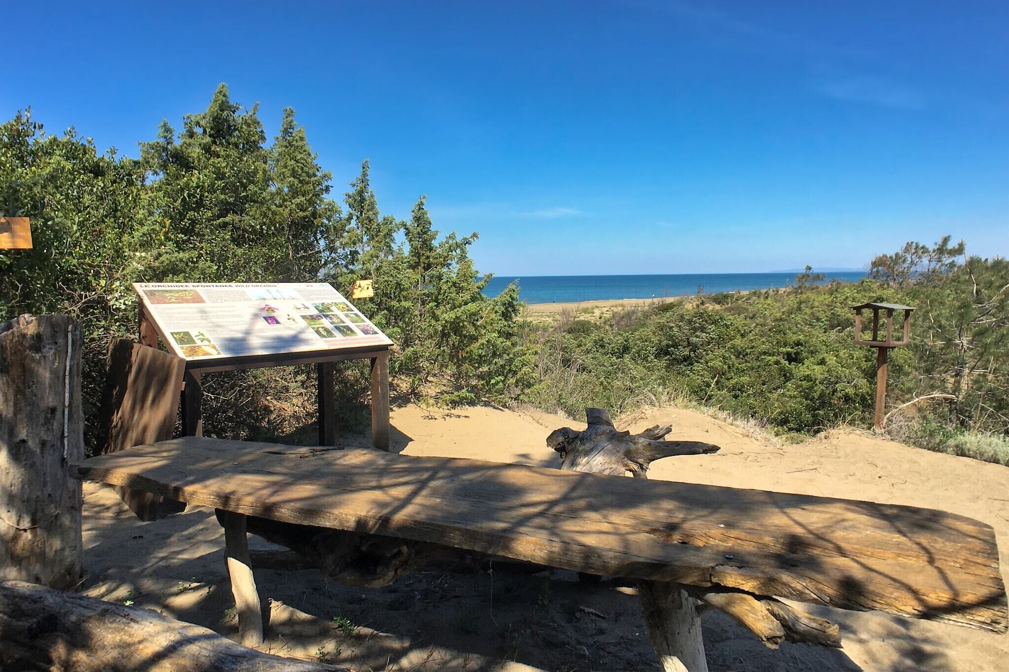 Un banco de madera y una mesa de picnic con un mapa, en un entorno natural con vista despejada a la playa y al océano.