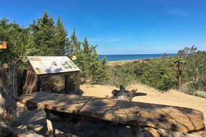 Perto da praia