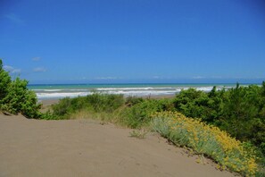 A beach with a clear view of the ocean and sandy terrain. - Villa in Sassetta with Private Botanical Garden (Sassetta)