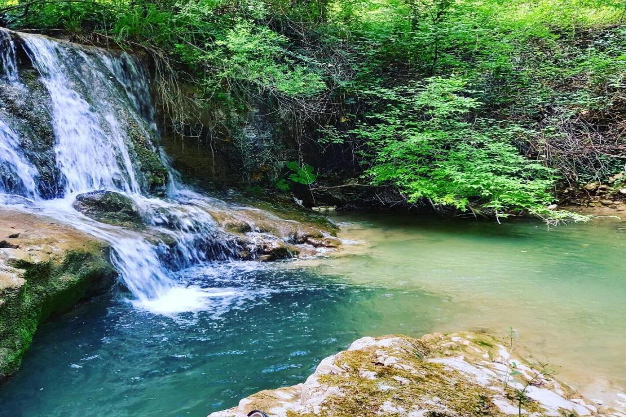 A waterfall cascading into a clear pool surrounded by lush greenery.