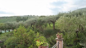 Una terraza con macetas y vistas a un paisaje verde y exuberante, con árboles y una colina al fondo.