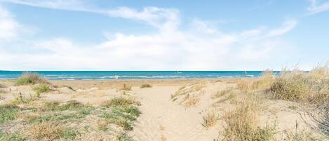 Nära stranden