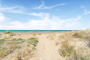A sandy beach path leading to the ocean with dunes and sparse vegetation.