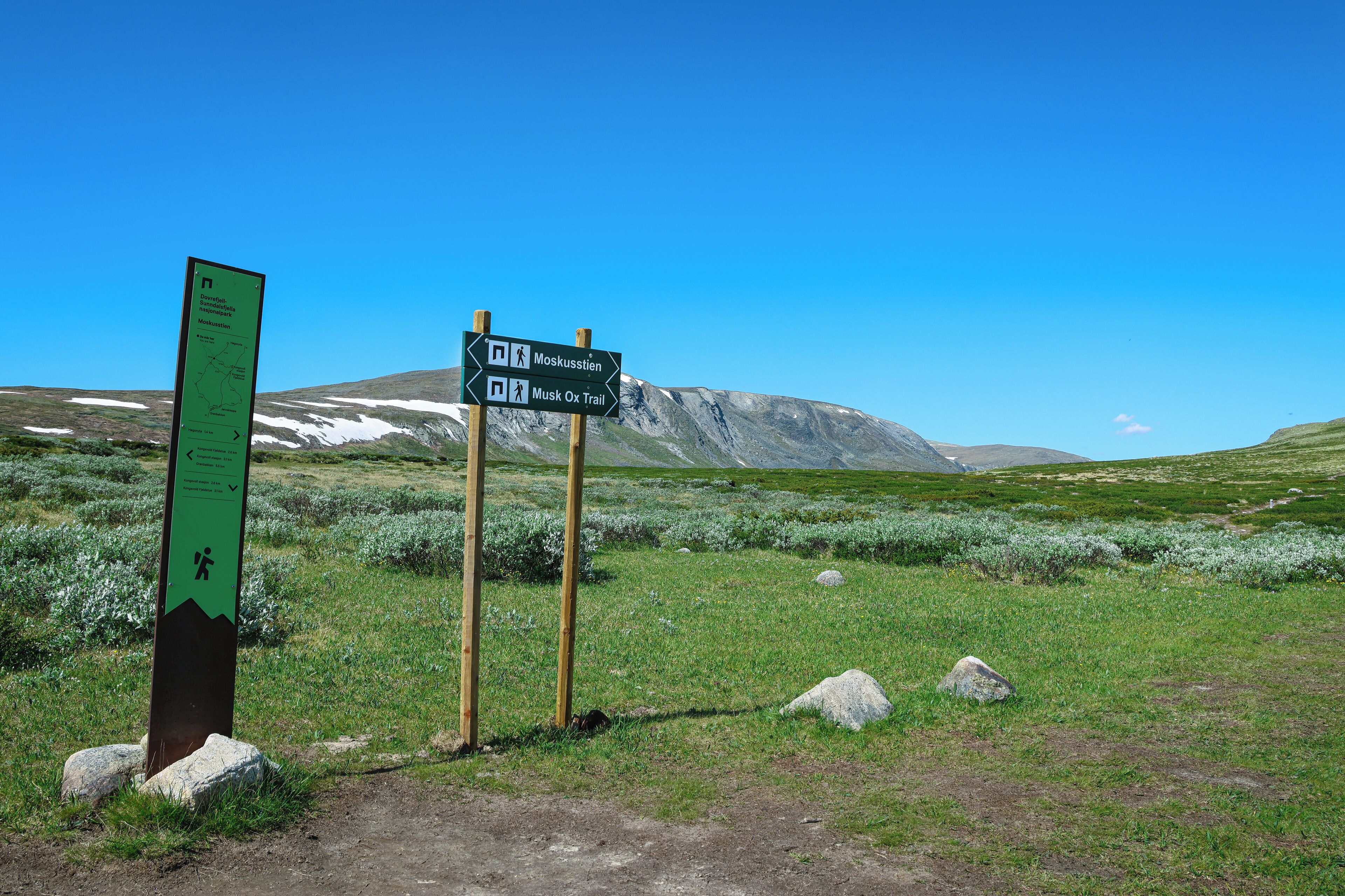 A directional signpost in a grassy field with a mountain in the background.