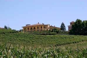 Esterni