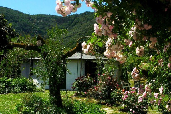 A rustic house surrounded by lush greenery and blooming pink flowers.