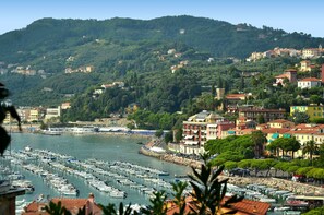 A marina with numerous boats docked, surrounded by buildings and greenery on a hillside.