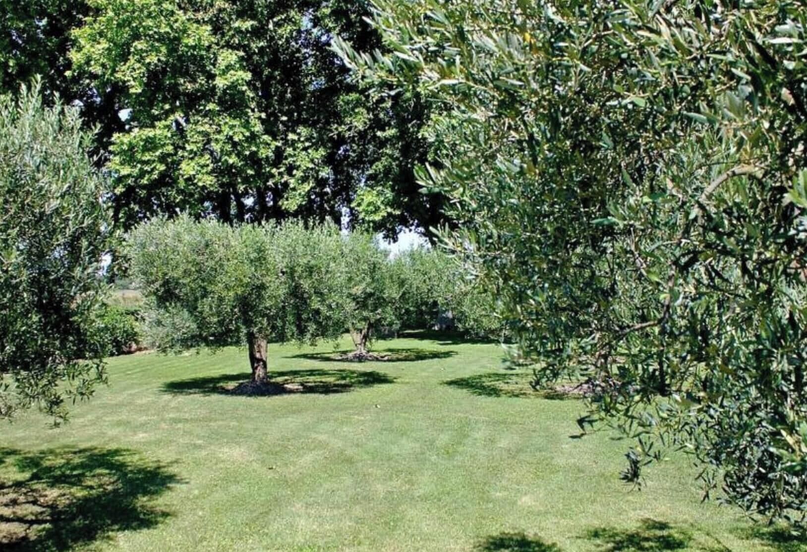 A well-maintained garden with neatly trimmed grass and a variety of trees.
