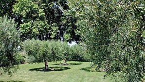 Un jardín bien cuidado con césped impecable y diversas especies de árboles.