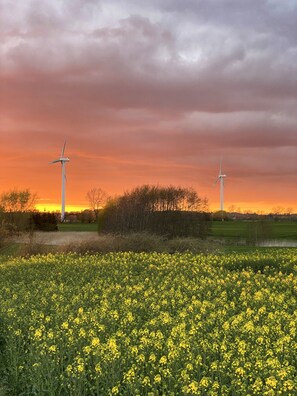 Exterior - Klokkehoej (Ullerslev)