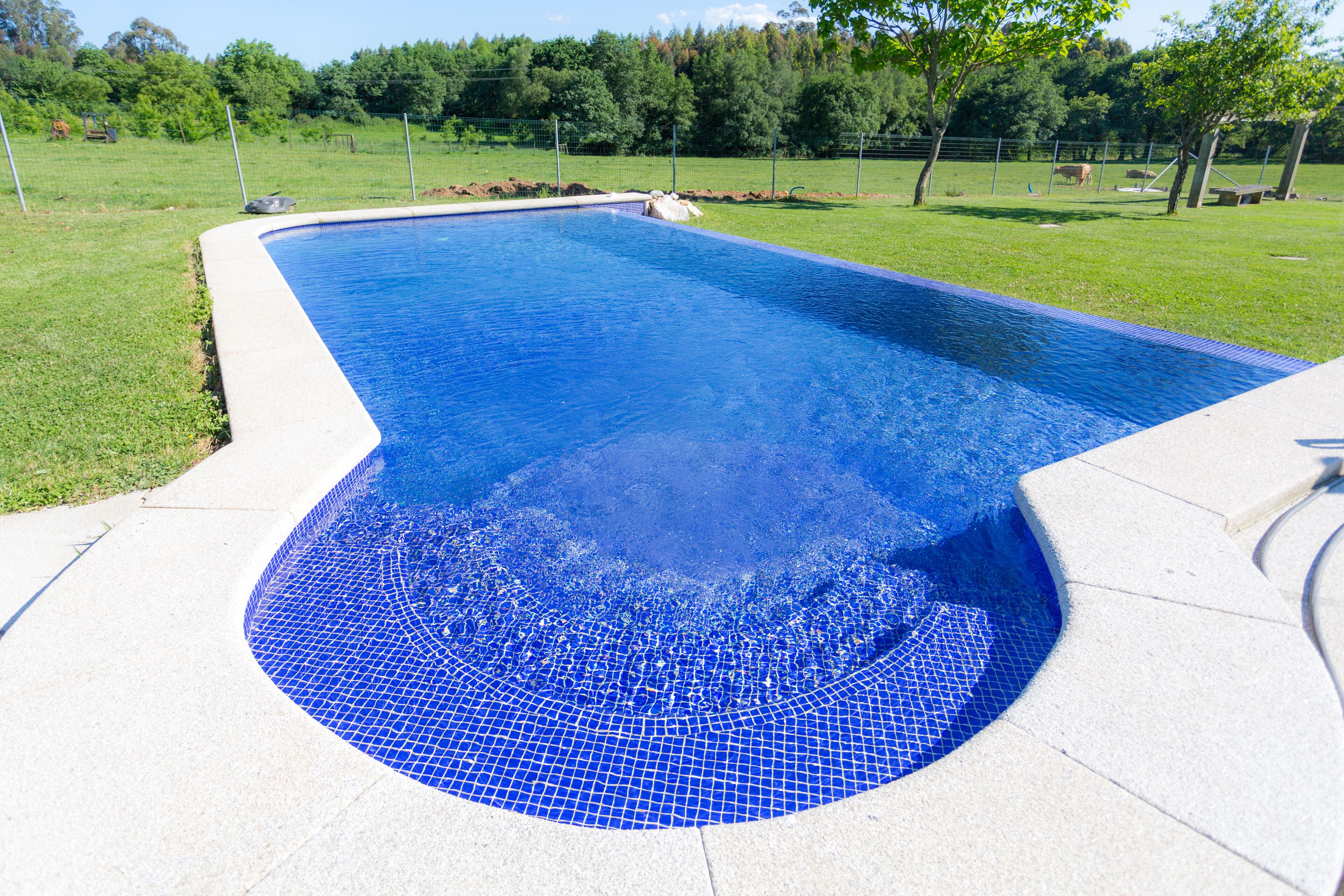 A swimming pool with a blue mosaic tile edge, surrounded by a concrete deck and a grassy area with trees.