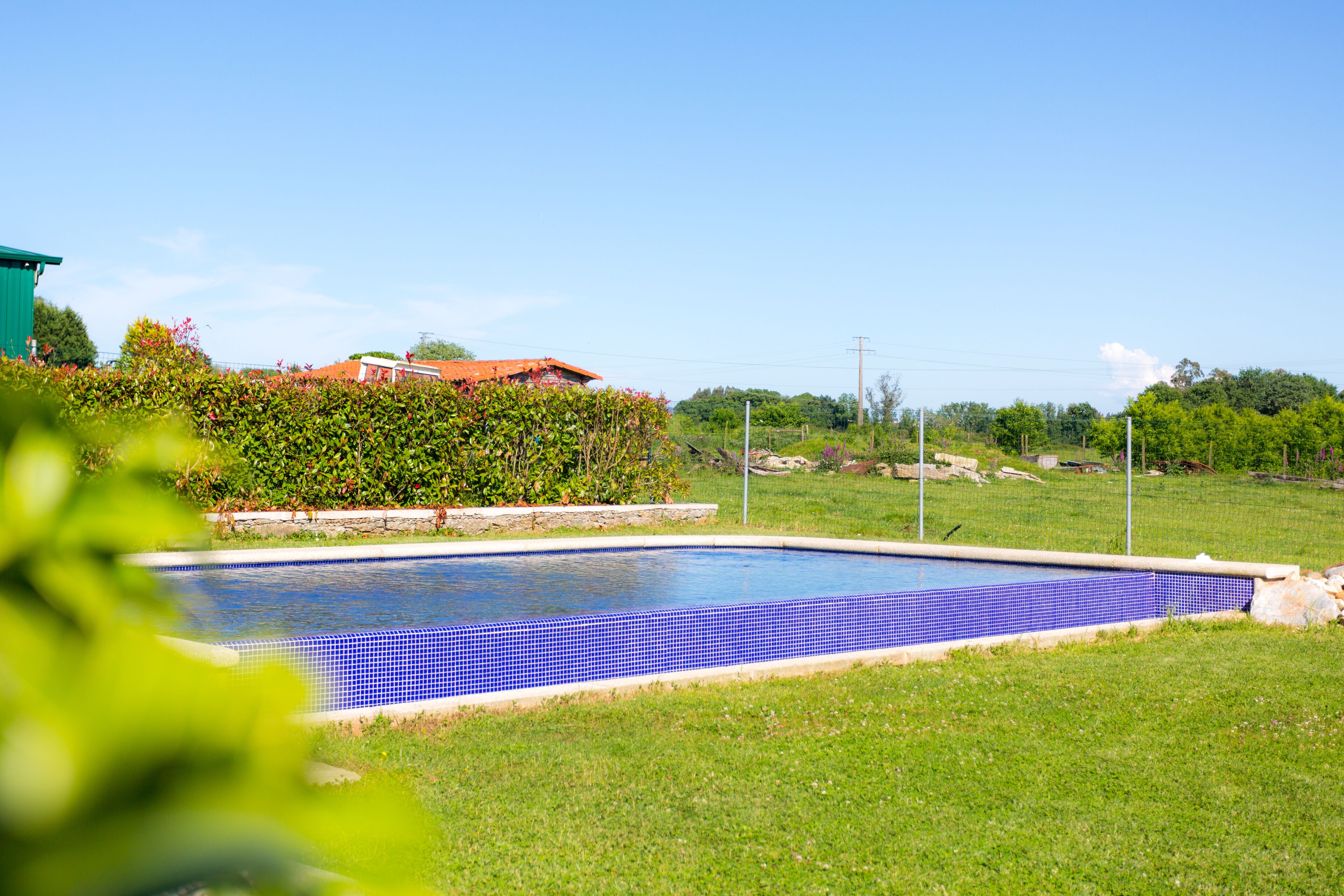 A rectangular swimming pool with blue tiles, surrounded by a grassy lawn and a hedge.