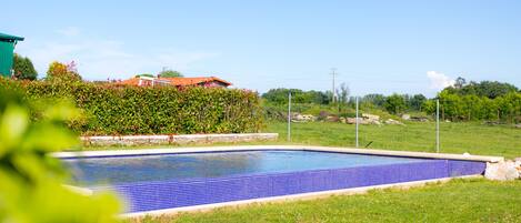 A rectangular swimming pool with blue tiles, surrounded by a grassy lawn and a hedge.