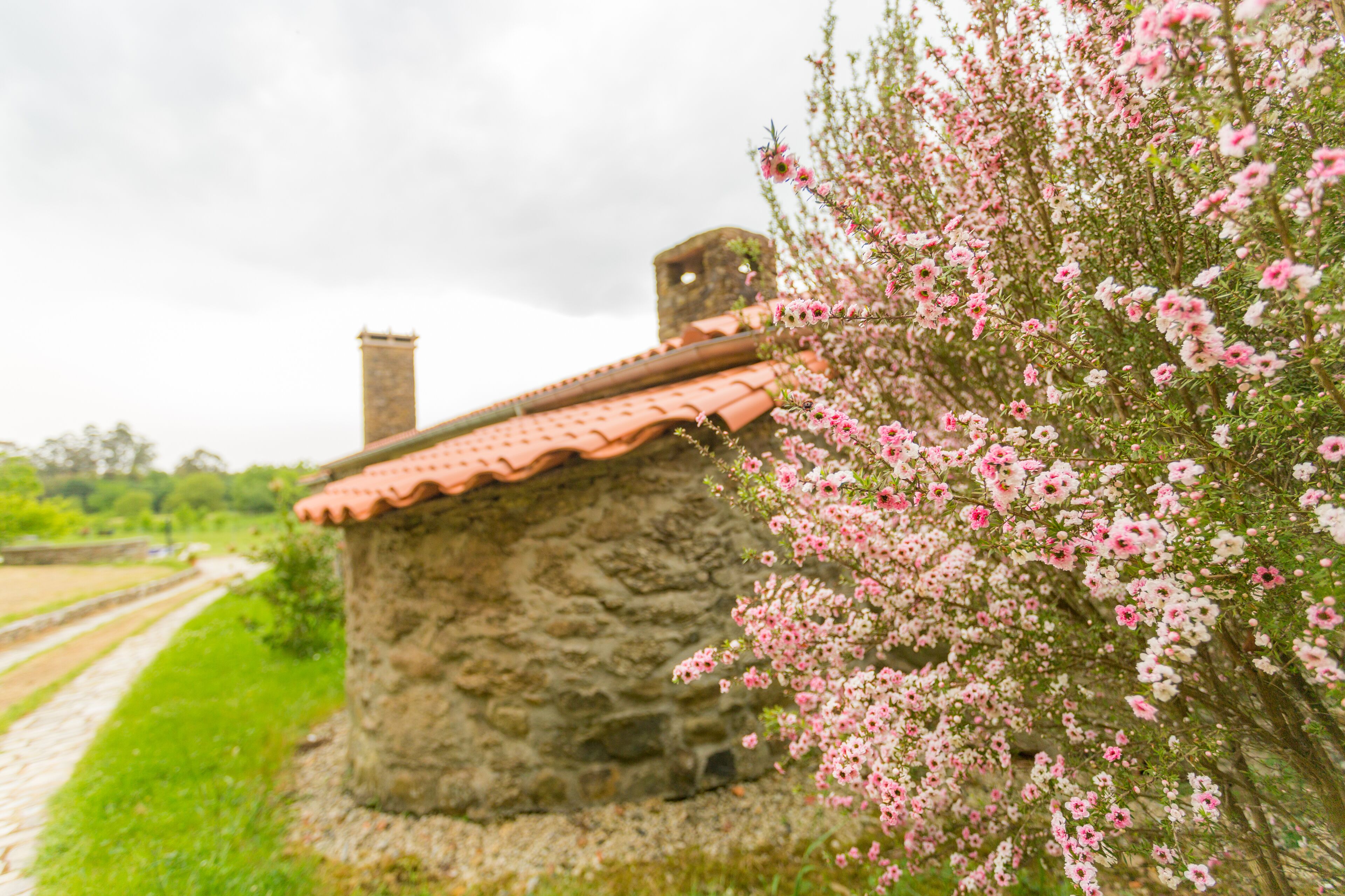 Foto - Casa da Ponte de Penas