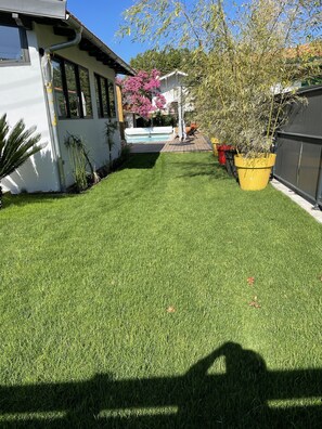 Une pelouse bien entretenue avec une piscine, entourée d’une clôture et agrémentée de diverses plantes.