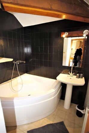 Combined shower/bathtub, hair dryer, toilet paper