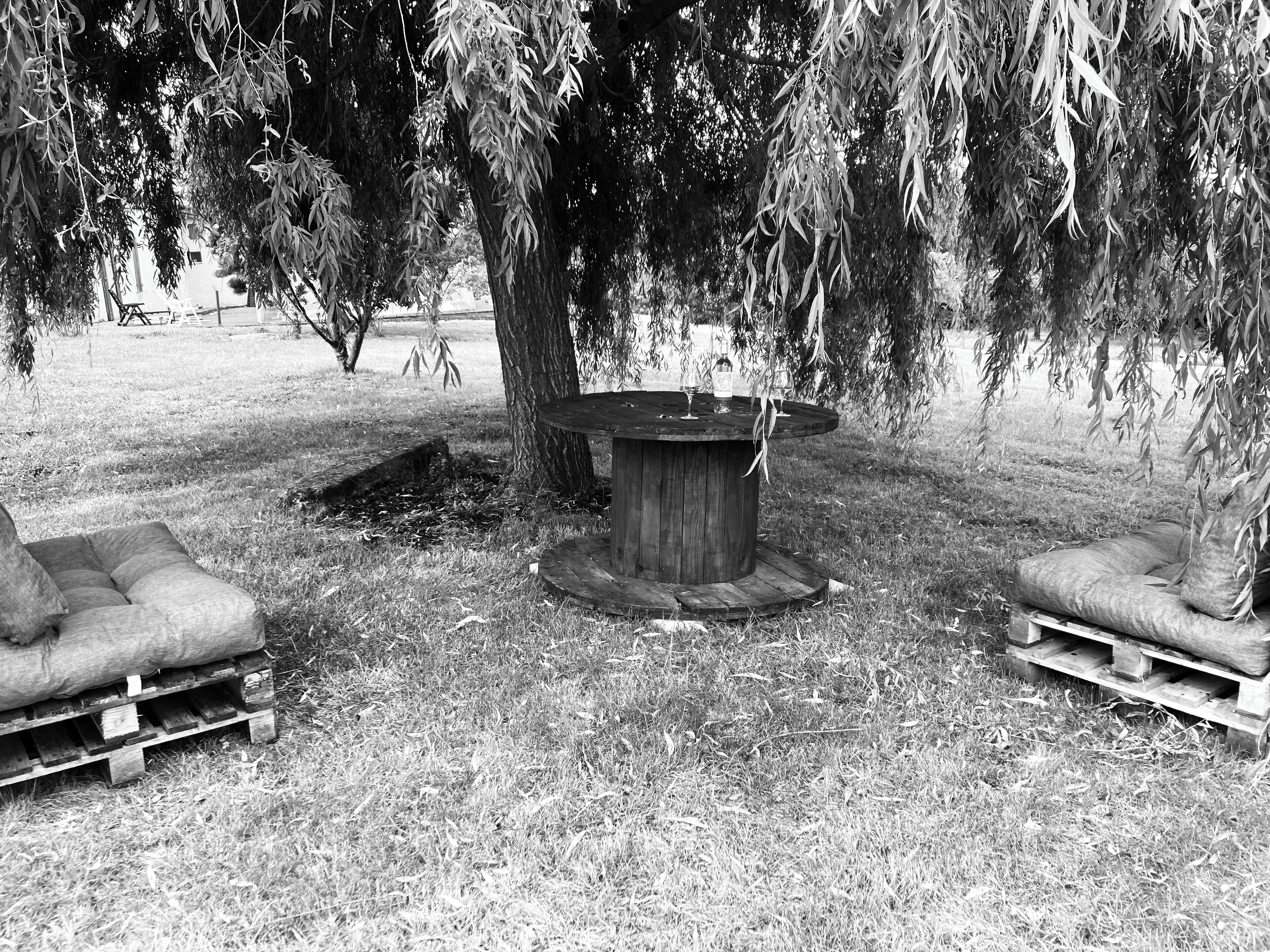 An outdoor seating area with a circular wooden table and cushioned benches under a large tree.