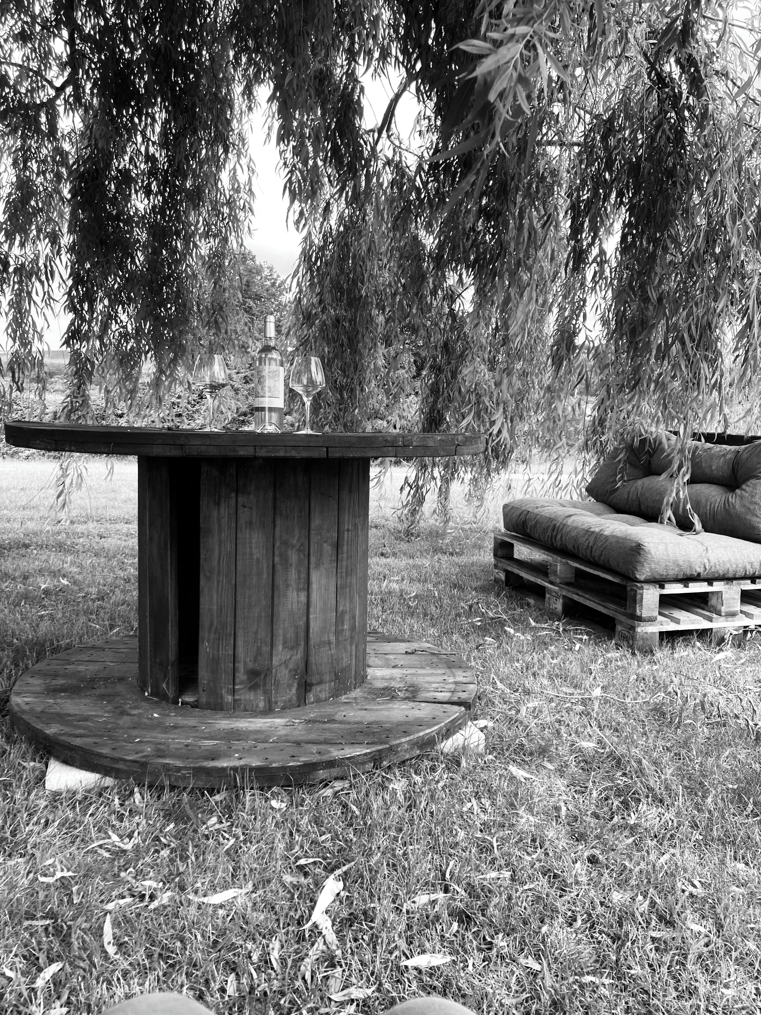 Una mesa de madera al aire libre con una botella y un vaso, rodeada de césped y un banco de madera con cojines.