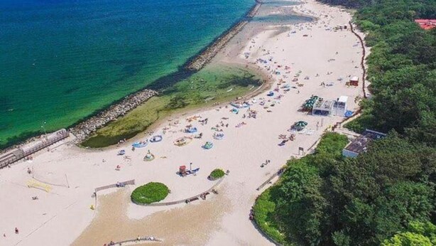 Luftaufnahme eines Strandes mit einer weiten Sandfläche, einem steinernen Wellenbrecher und einer Baumreihe.
