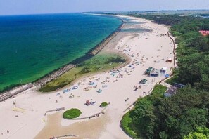 Vista aérea de una playa con una extensa franja de arena, un rompeolas rocoso y una hilera de árboles.