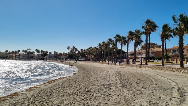 A beach with a stone wall, palm trees, and buildings in the background.