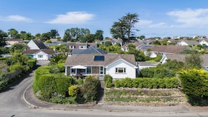 A residential area with houses, a winding road, and a large tree.