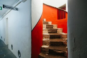 Interior - Dundee Backpackers Hostel (Dundee)